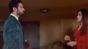 Shiddat Pakistani romantic TV Show